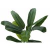 Monarch Specialties Artificial Plant, 55" Tall, Banana Tree, Indoor, Faux, Fake, Floor, Greenery, Potted, Real Touch I 9568